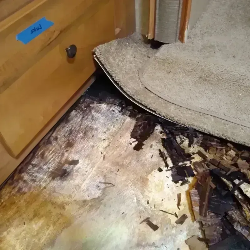 Wood Floor Water Damage in New Baltimore, MI